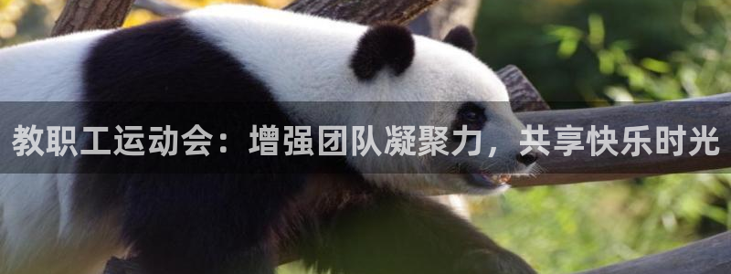 球王会体育：教职工运动会：增强团队凝聚力，共享快乐时光
