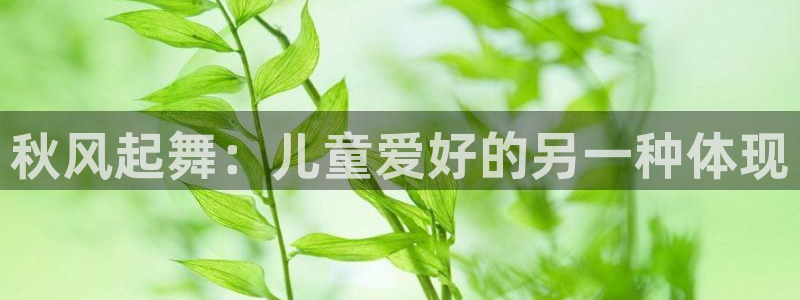 球王会体育：秋风起舞：儿童爱好的另一种体现