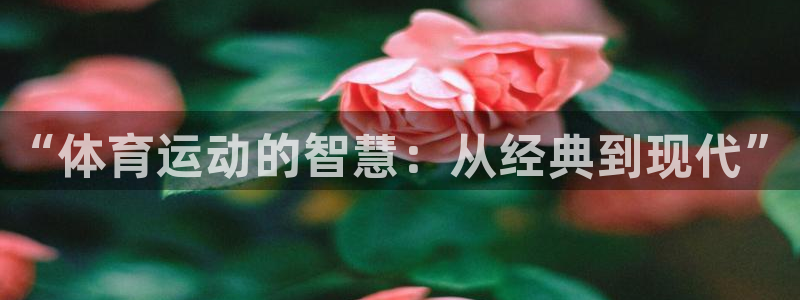 球王会体育：“体育运动的智慧：从经典到现代”