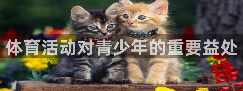 球王会体育：体育活动对青少年的重要益处