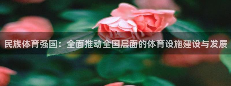 球王会体育：民族体育强国：全面推动全国层面的体育设施建设与发展