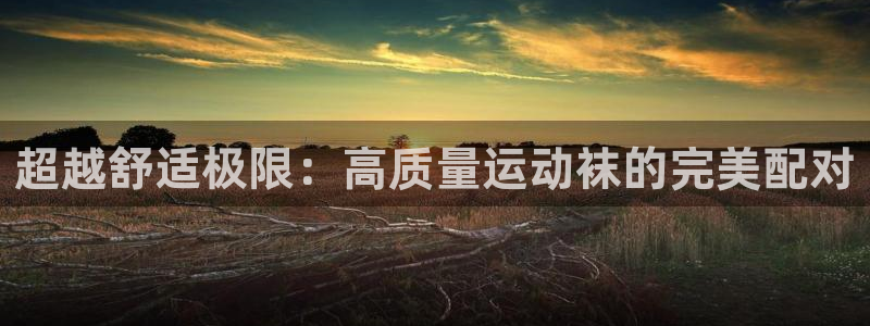 球王会体育：超越舒适极限：高质量运动袜的完美配对