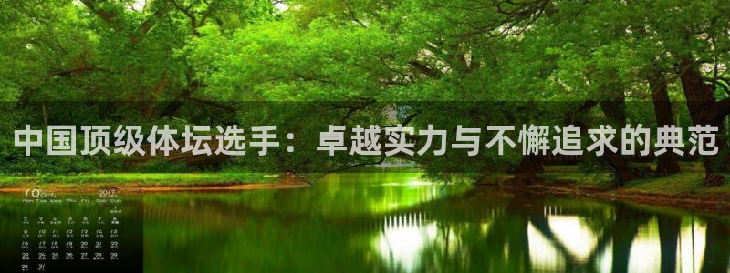 球王会体育：中国顶级体坛选手：卓越实力与不懈追求的典范