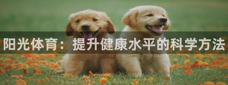 球王会体育：阳光体育：提升健康水平的科学方法