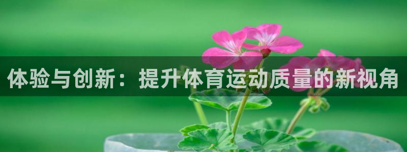 球王会体育：体验与创新：提升体育运动质量的新视角